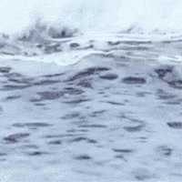 Surprised Facial Expression GIF