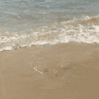 Water Wave GIF