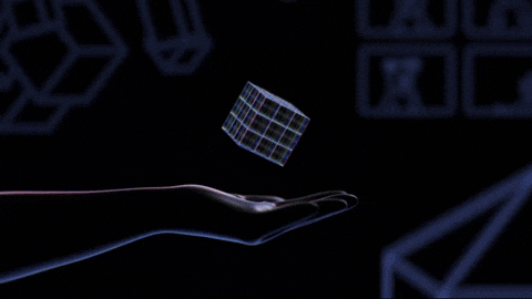 Fashion Team GIF by Bozoverse