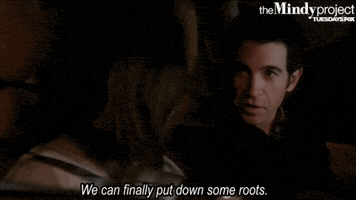 the mindy project GIF by Fox TV