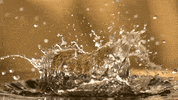 cervejaimperio beer cerveja imperio breja GIF