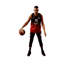 spiroucharleroi dunk 30 khalid spirou Sticker