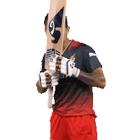 Happy Dance Sticker by Royal Challengers Bangalore