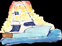 loganelizabethdesigns beach ocean fish sunset GIF