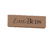 Wearelittlebuds flower flowers little bouquet Sticker