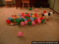 balloons GIF