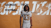 Georgia Tech Football GIF by Georgia Tech Yellow Jackets