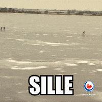 ice yolo GIF by Omrop Fryslân