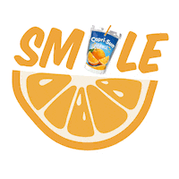 Fun Smile Sticker by Capri-Sun