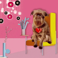 mishkacakes mishka GIF