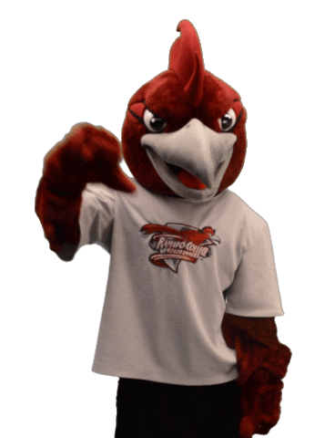 Mascot Roadrunners Sticker by Ramapo College of New Jersey
