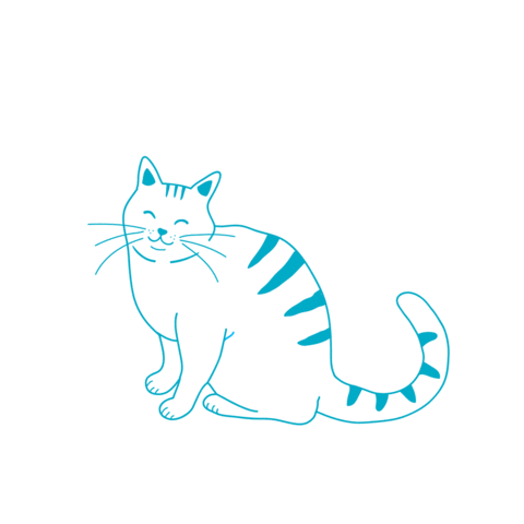 BestFriendFI giphyupload cat happy cat kissa Sticker