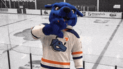 Oshawa GIF by Ontario Tech Ridgebacks