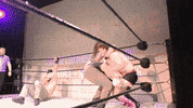 SHWAWrestling wrestling big champions alliance GIF