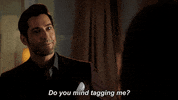 tag me lucifer morningstar GIF by Lucifer