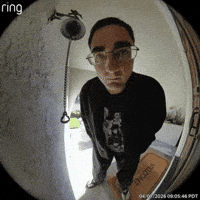 Hidden Gem Door GIF