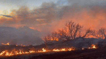 Crews Fight Grass Fires in North Texas Amid Red Flag Warning