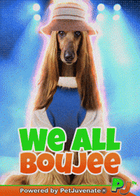 Taylor Ellen GIF by PetJuvenate - PJ