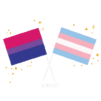 MAAPAtl lgbtq transgender maap pride flags Sticker