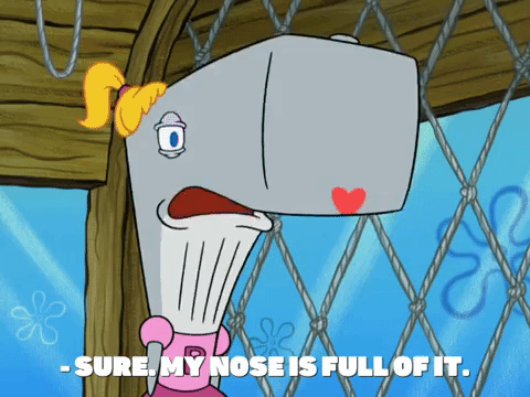 season 8 bubble troubles GIF by SpongeBob SquarePants