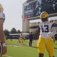 College Football GIF by LSU Tigers