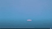GIF by City Life Lansing