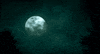 moon GIF