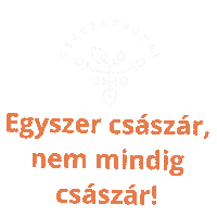 Csection Sticker by Császárvonal