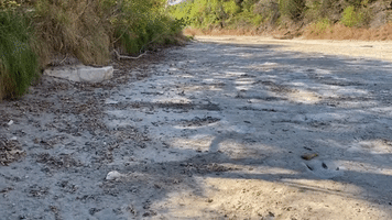 Dinosaur Tracks Uncovered After Drought Dries Up Paluxy River in Texas