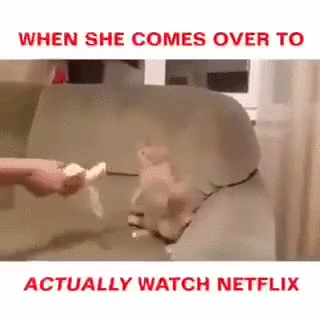 netflix and chill GIF