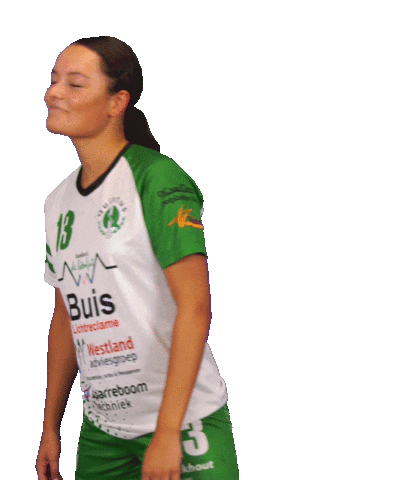 Quintushandball giphyupload handball eredivisie presentation Sticker