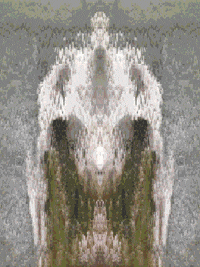 GIF by Leo Pyrata