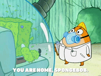 season 5 episode 3 GIF by SpongeBob SquarePants