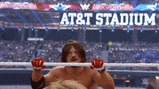 chris jericho wrestling GIF by WWE