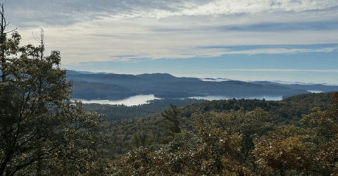 jason-mallette giphygifmaker giphyattribution GIF