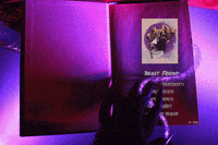 KyleeConriquez halloween magic dogs spooky GIF