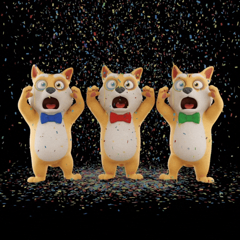 Bow Tie Omg GIF by Doge Pound