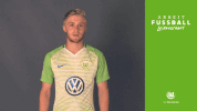 bundesliga wolves GIF by VfL Wolfsburg