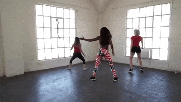 Twerking GIF by Hip Shake Fitness