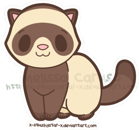 t ferret STICKER