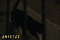 Odessa Young Shirley GIF by Madman Films