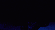 party dancing GIF by My Brightest Diamond