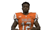 Football Sport Sticker by Carson-Newman Athletics