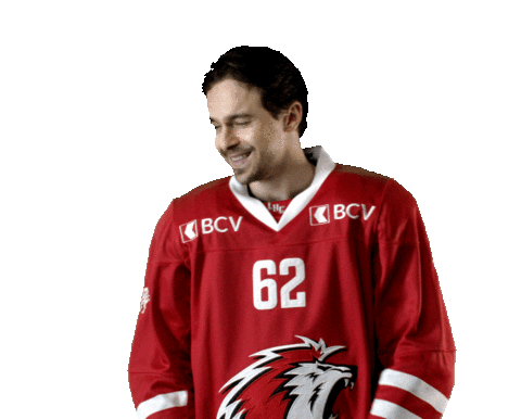 Lhc Lausannehc Sticker by Lausanne Hockey Club