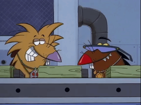 nickrewind giphydvr nicksplat angry beavers giphyab015 GIF