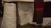 Whats Up Hello GIF by FoilArmsandHog
