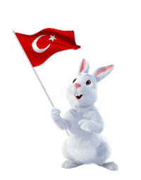 Tavsan Hızlı Sticker by Fibabanka