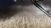 WoodinvilleWhiskeyCo  GIF