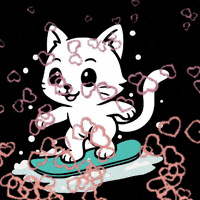 Cat Love GIF