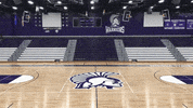 Basketball Warriors GIF by WinonaStateATH